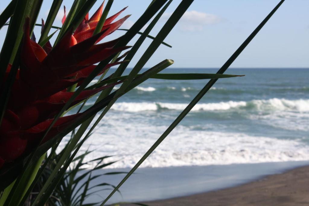 Sejuk Beach Villas Canggu Rom bilde